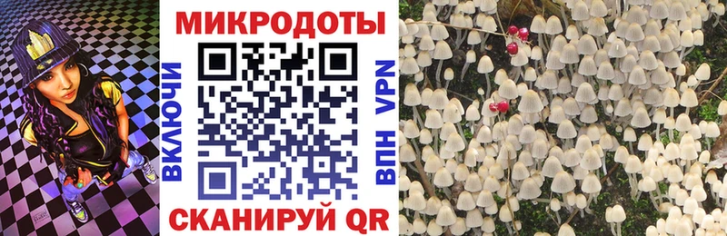 Псилоцибиновые грибы Psilocybine cubensis  купить наркотик  Котельники 