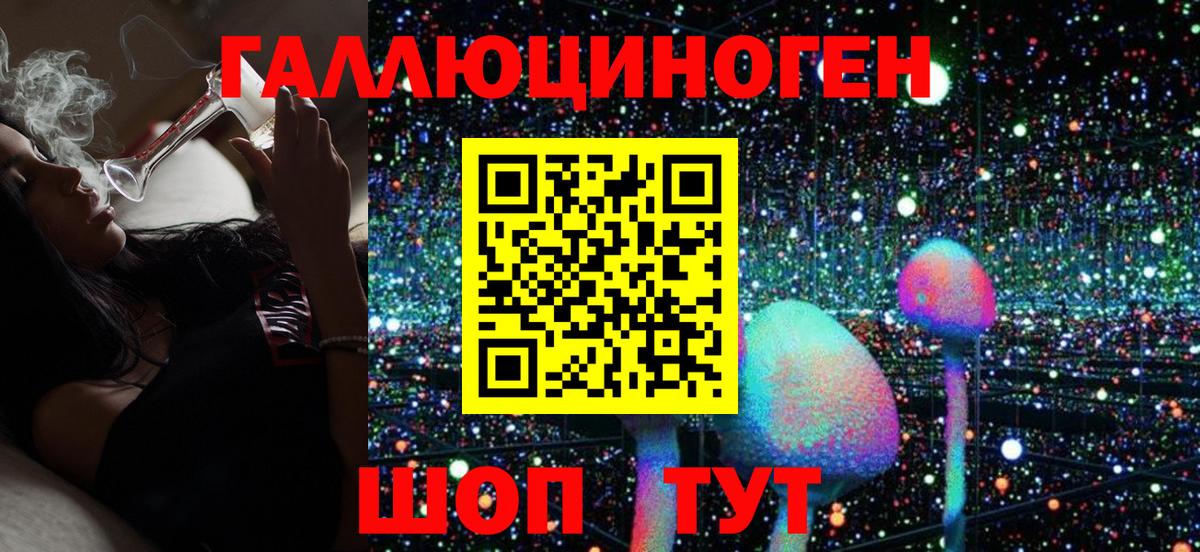Псилоцибиновые грибы Psilocybine cubensis  Вход с VPN  Галлюциногенные грибы мухоморы  Котельники 