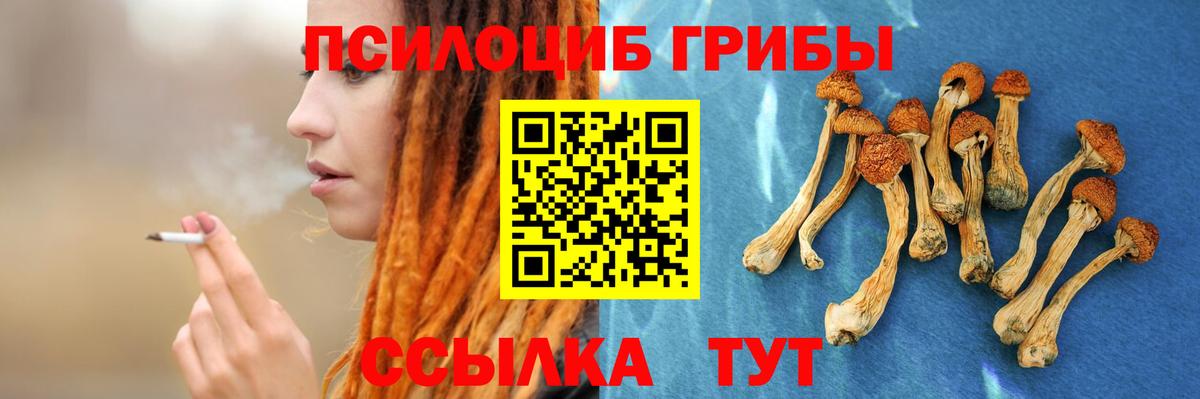 Галлюциногенные грибы GOLDEN TEACHER Котельники